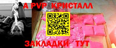 скорость Кингисепп