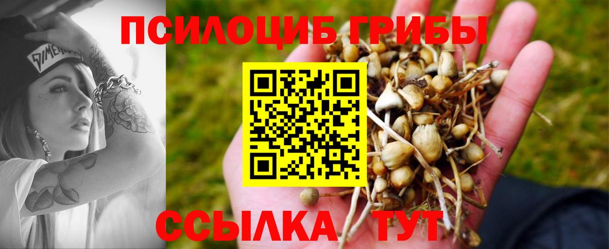 наркота  Галлюциногенные грибы MAGIC MUSHROOMS  Вход с VPN  Кимры 